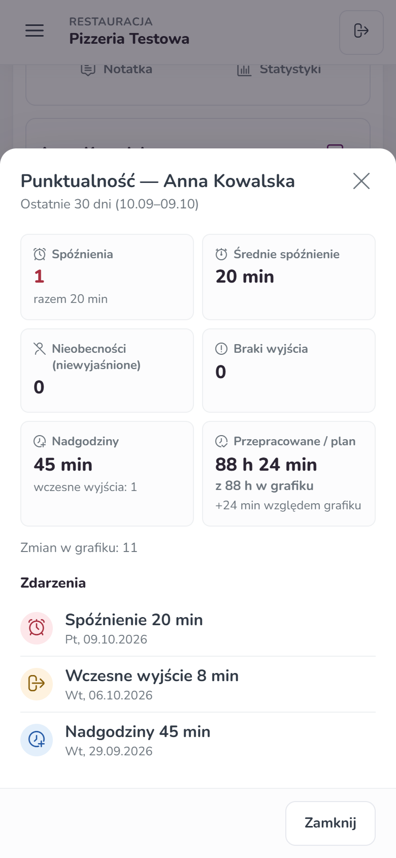Panel Punktualność na telefonie